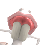 @prestonplayz76549