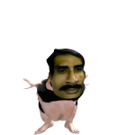 @Zkingo123
