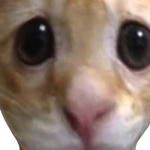 @opeiqq
