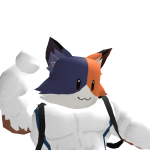 @c4sfw