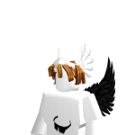 @saeqwsew312