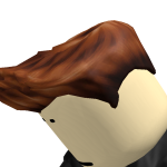 @roblox_pro3176