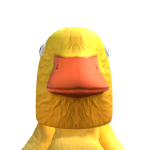 @haydenanderson57