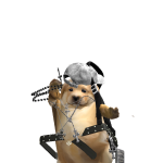@Fernando13734