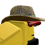 @TOP_HATmortis
