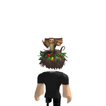 Abel's avatar