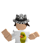 @Gamer_duckeee
