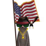 @robloxplayer100025