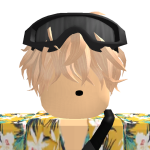 @Developer1star