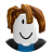 Headshot of roblox_user_1530623555