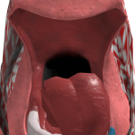 @RoboRocks_YT