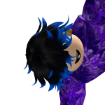 @FebawerRoblox