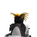 @BL0CKYIM