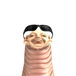 @hereboll1