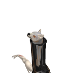 @Glorgggg