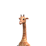 @koorryyyy