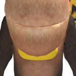 @Finn1112014