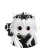 luckyluckylucyant