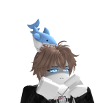 @odavido2344