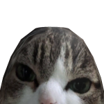 @sushiboylive1