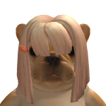 @guccigucci101