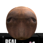 Invv3st