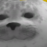 @hamsternunu