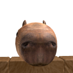 @joaogg6677