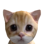 @CookieWatermelon786
