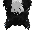 FlashSW22
