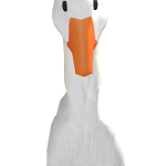 @octoEco