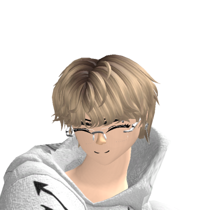 Roblox profile picture for @Www78033