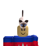 @Implayrobloxtoday