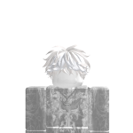 @robloxeur6595