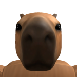 @gamerboy_jks