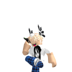 @robloxproyunut