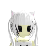 @scysclosetholder