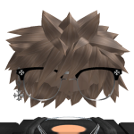 @RobloxBoy13560