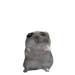 @Arissa_cut