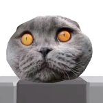@legoblocks111