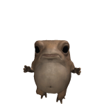 @xzharryy