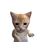 @C4naw