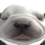 @vivuyr