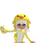 Summerr Duck