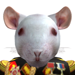 RatFace1218
