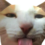 @BontenPashpash