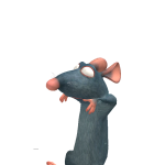 @hjvcfhjhhv