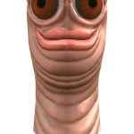 @MrDUCKplayzRBLOX