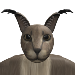 @ArticulatedDeluri