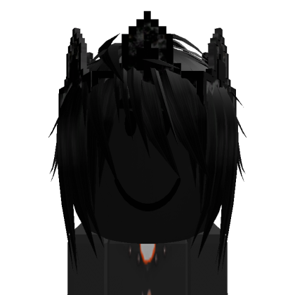 Roblox profile picture for @Sarasota